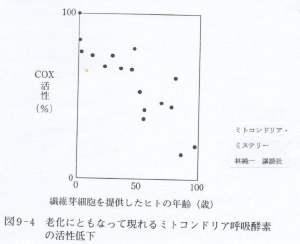 図９－４老化に伴うｍｔの呼吸酵素の活性低下.jpg